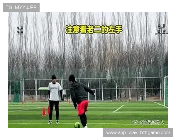 足球比赛球员体能分布与消耗研究 足球比赛球员体能分布与消耗研究